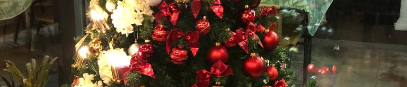 Weihnachtsbaum bei Ali